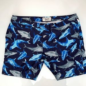 Men’s Penguin shock design swim trunks